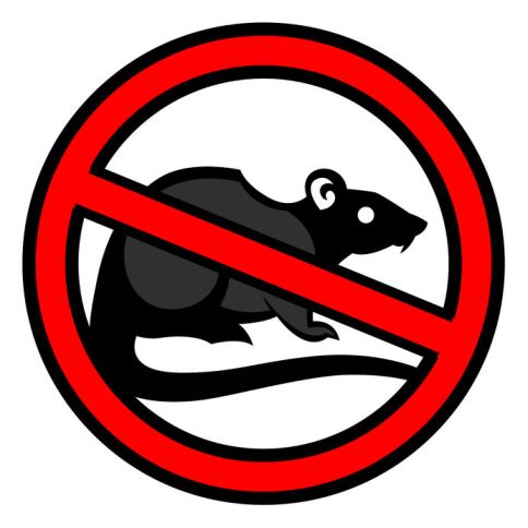 no-rats